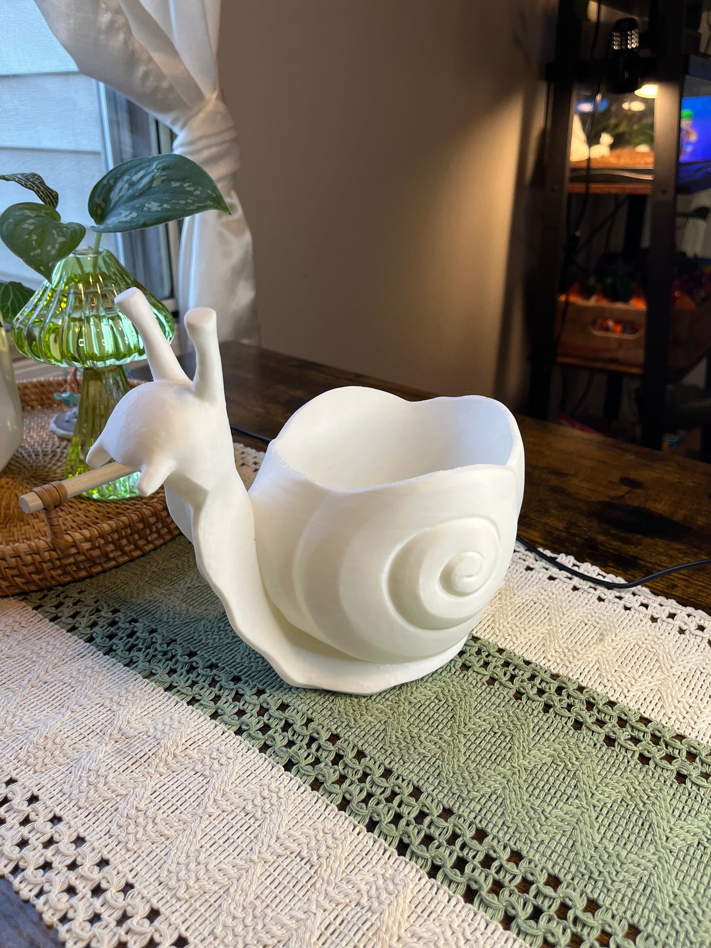 Snail plant pot/planter